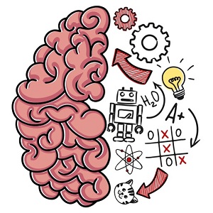 brain test logo