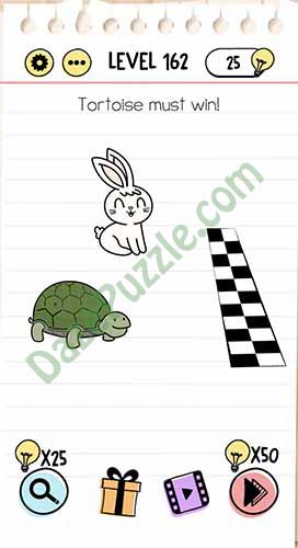 tortoise must win brain test