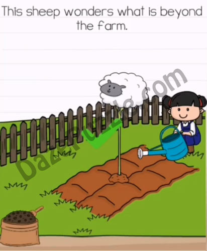 brain test 2 emily's farm level 18 answer