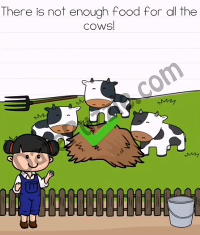 brain test 2 emily's farm level 5 answer