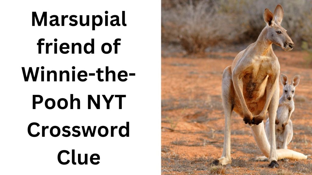 Marsupial friend of Winnie-the-Pooh NYT Crossword Clue
