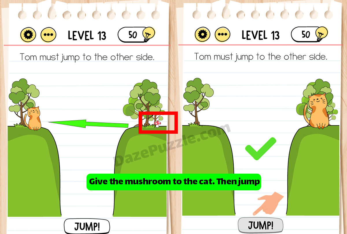 brain test level 13 new