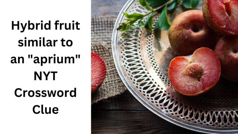Hybrid fruit similar to an quot aprium quot NYT Crossword Clue Hybrid fruit similar to an quot aprium quot NYT Crossword Clue