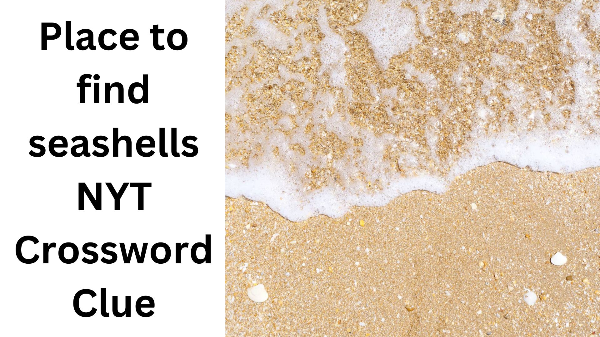 Place to find seashells NYT Crossword Clue