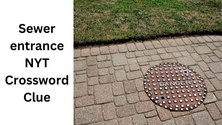 Sewer entrance NYT Crossword Clue Sewer entrance NYT Crossword Clue
