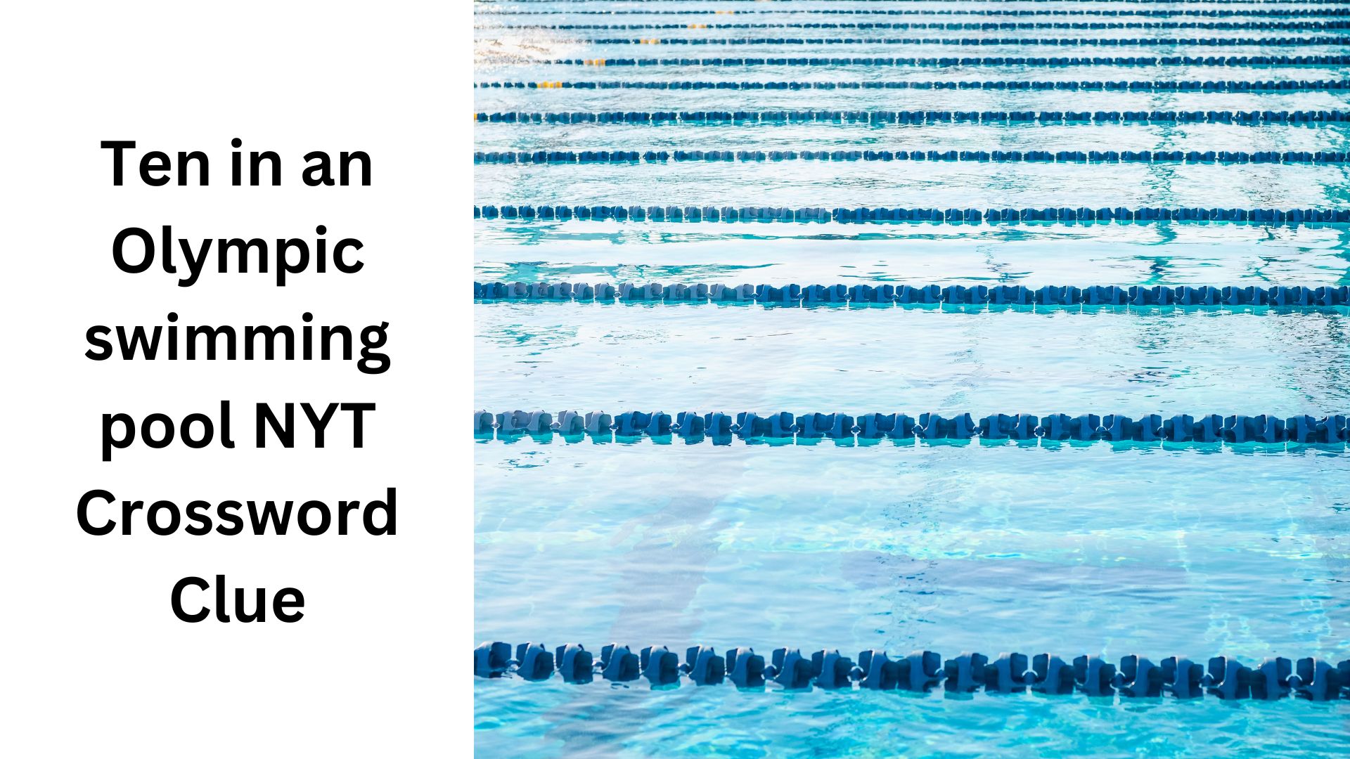 Ten in an Olympic swimming pool NYT Crossword Clue