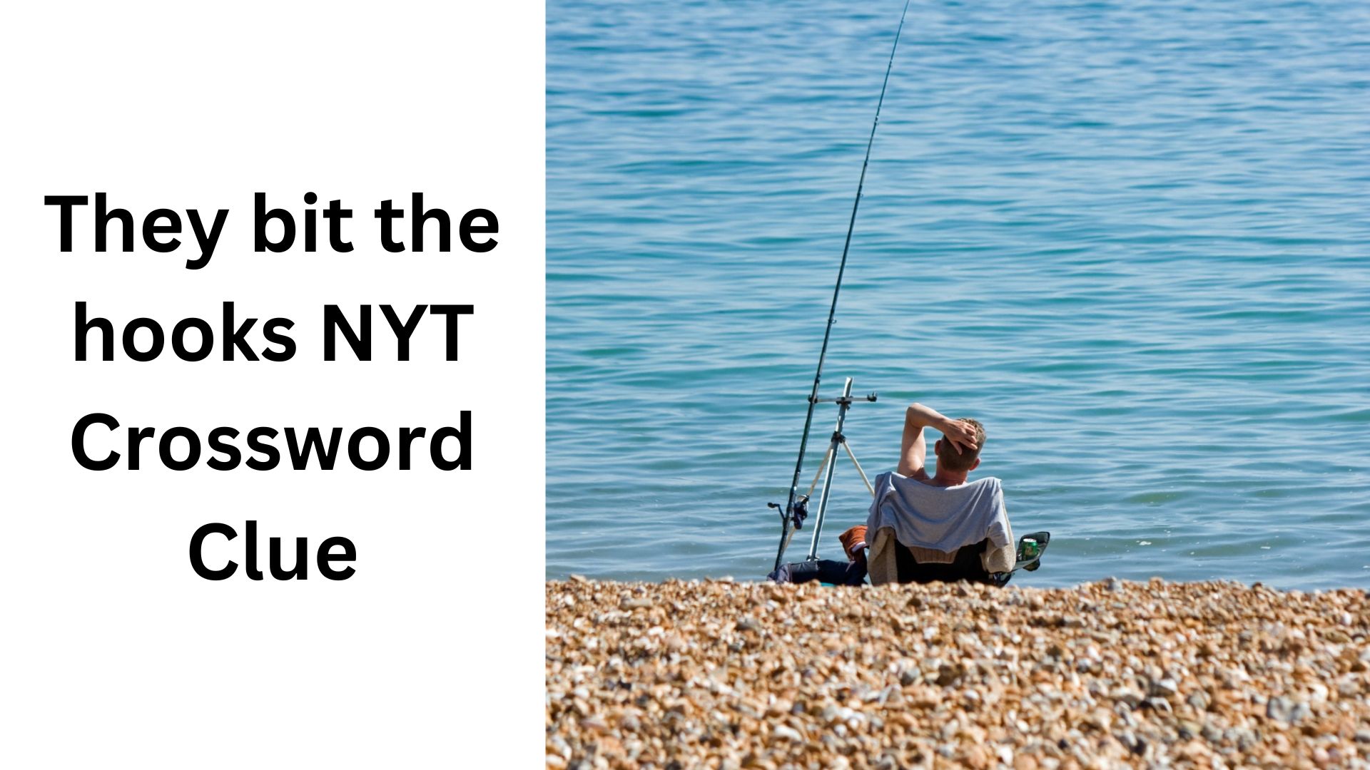 They bit the hooks NYT Crossword Clue