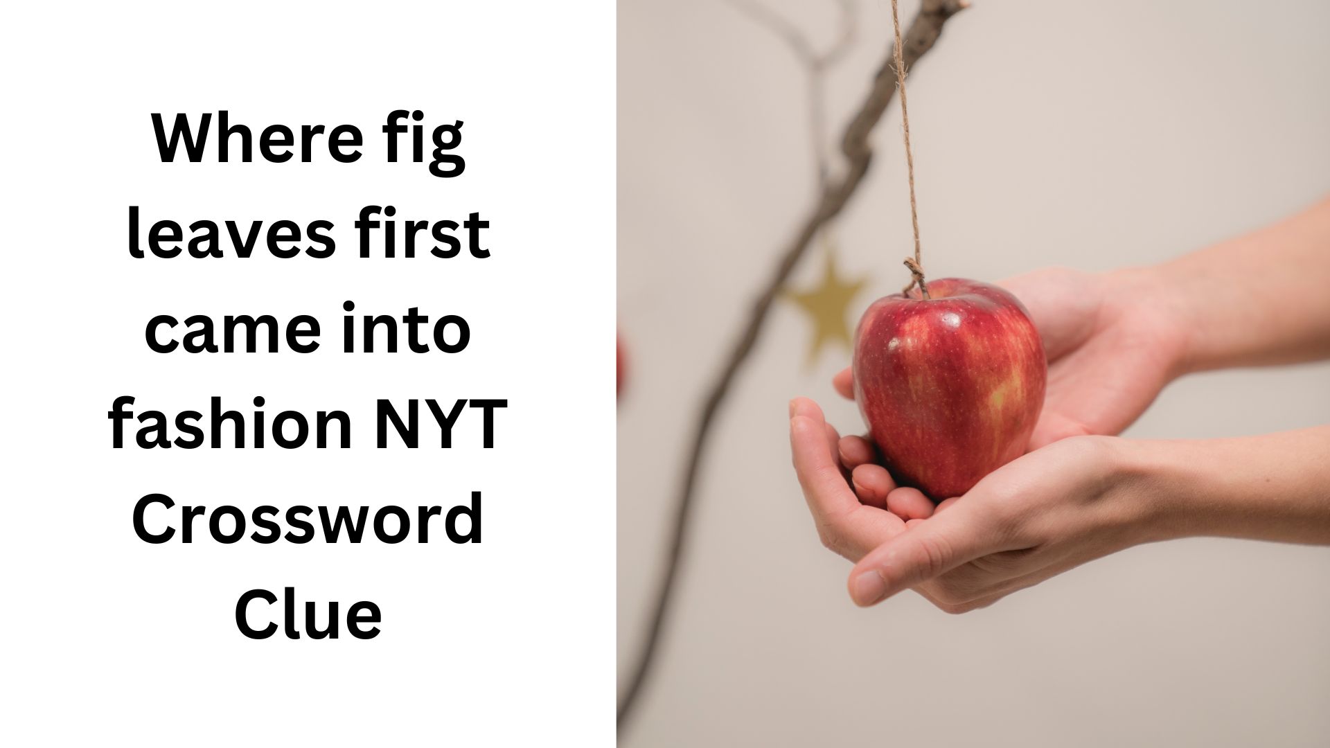 Where fig leaves first came into fashion NYT Crossword Clue