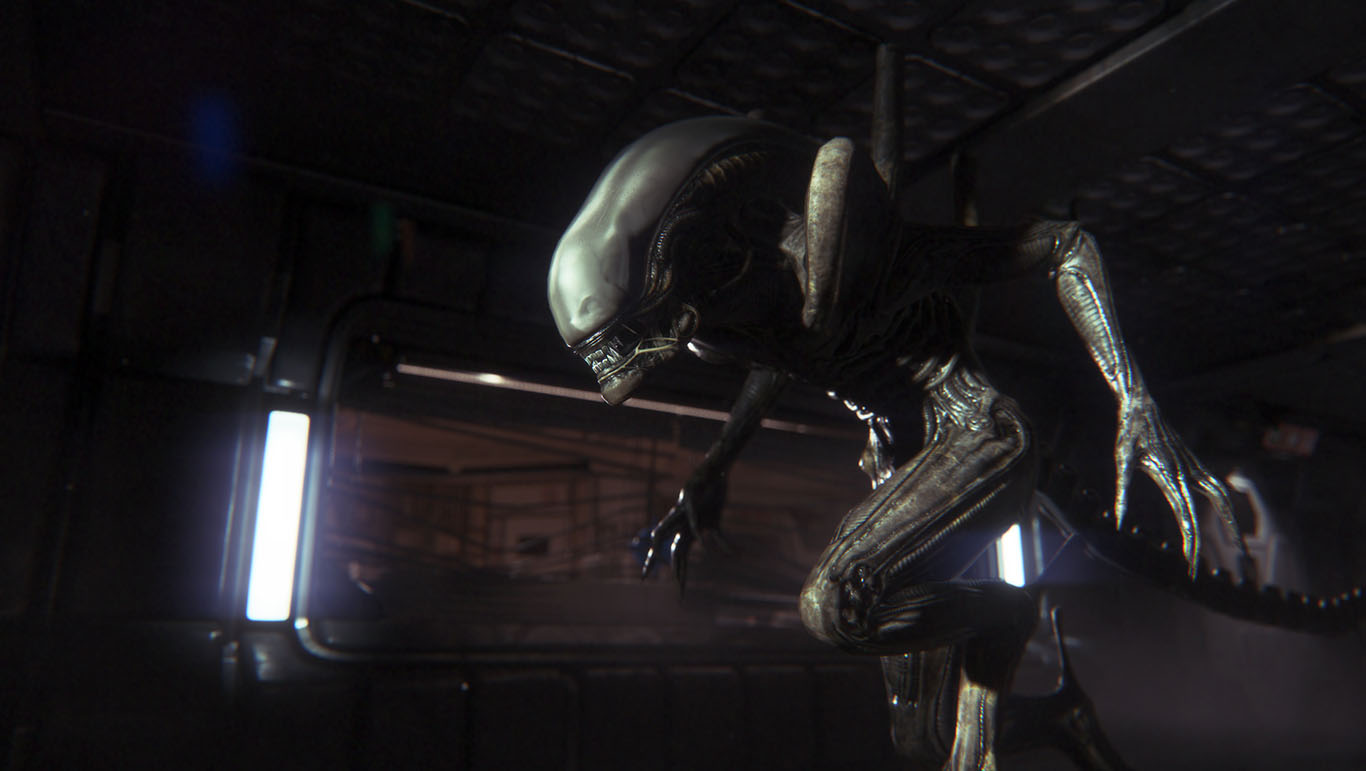 alien searching for the player