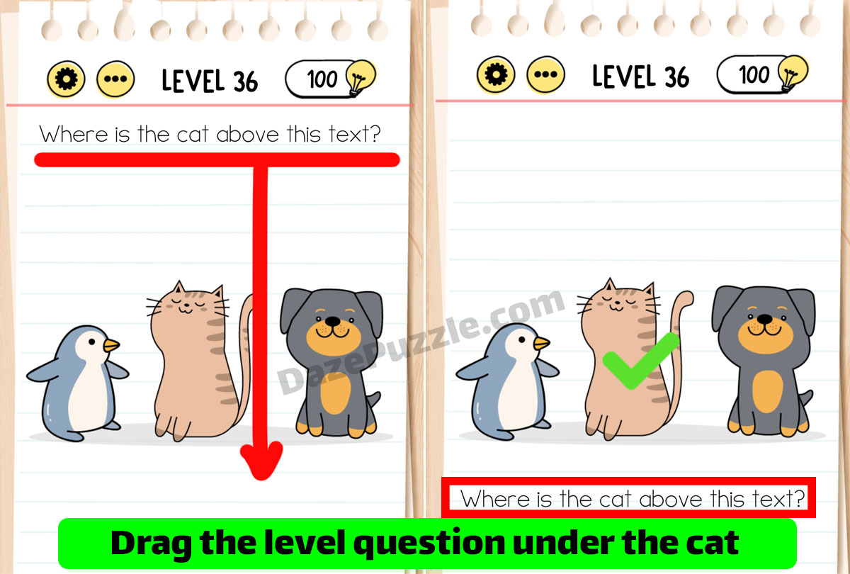 brain test level 36 new
