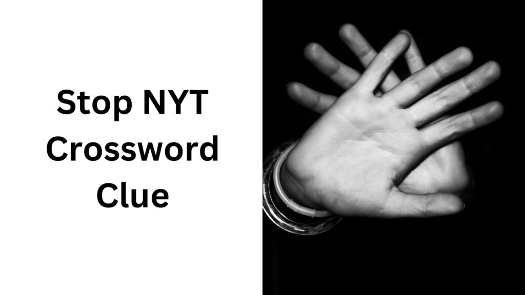 Stop NYT Crossword Clue