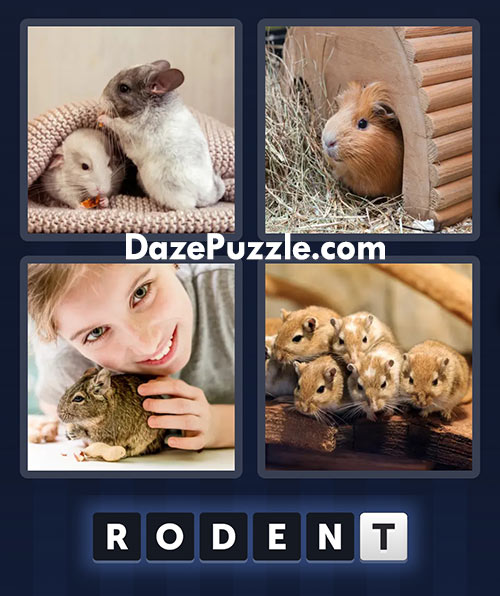 4 pics 1 word march 12 2025 daily bonus puzzle answers