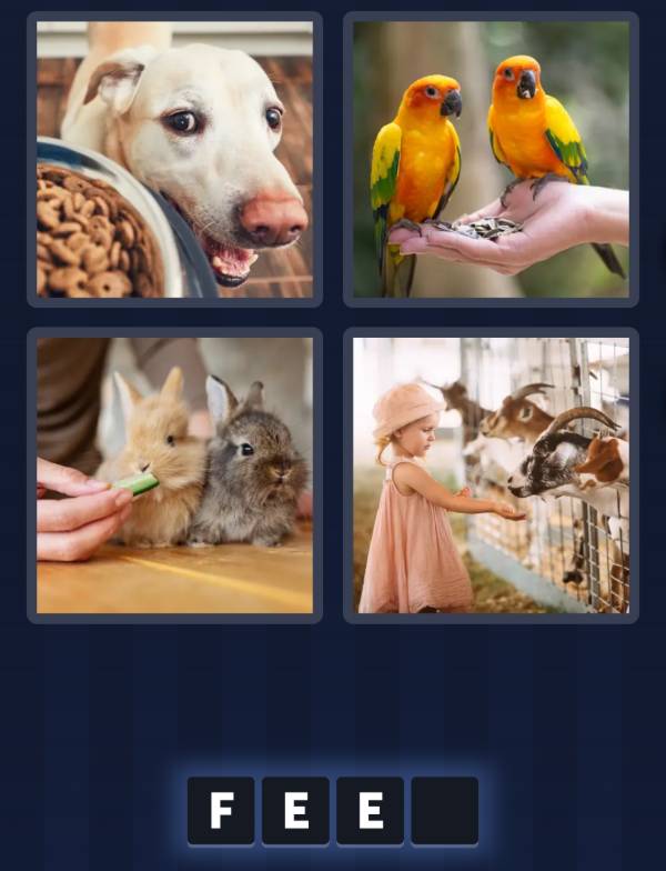 4 Pics 1 Word Daily Bonus Puzzle March 8 2025 Answer