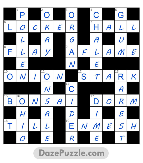 puzzle page crossword 1 may 2025 answer