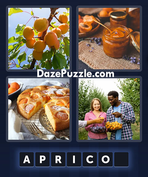 4 pics 1 word june 16 2025 daily bonus puzzle answer