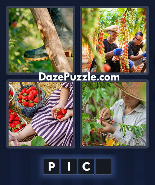 4 pics 1 word june 4 2025 daily bonus puzzle answer