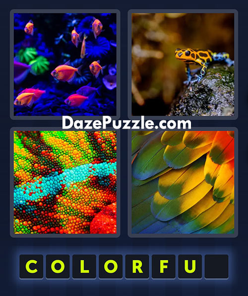 4 pics 1 word august 1 2025 daily bonus puzzle answer