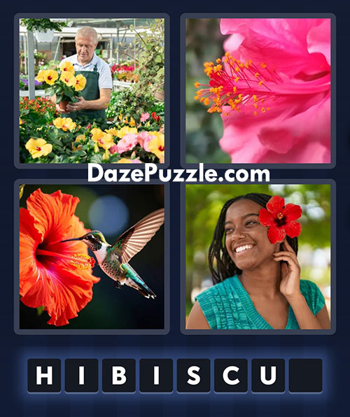 4 pics 1 word august 16 2025 daily bonus puzzle