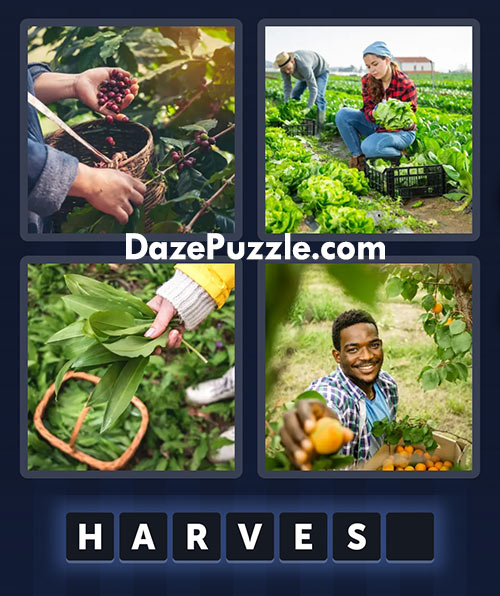 4 pics 1 word august 8 2025 daily bonus puzzle answer