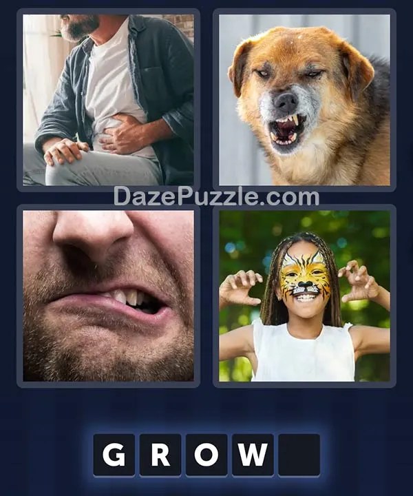 4 Pics 1 Word bonus puzzle pictures