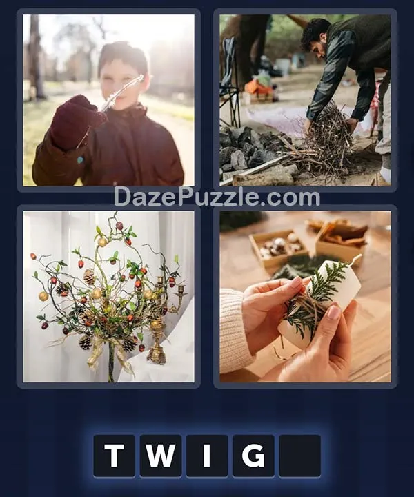 4 Pics 1 Word daily puzzle pictures
