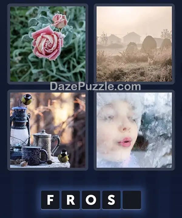 4 Pics 1 Word daily puzzle pictures