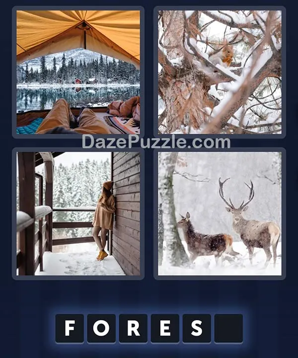 4 Pics 1 Word daily puzzle pictures
