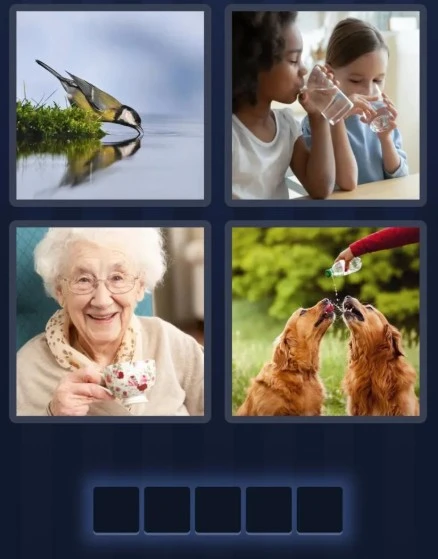 4 Pics 1 Word daily puzzle pictures