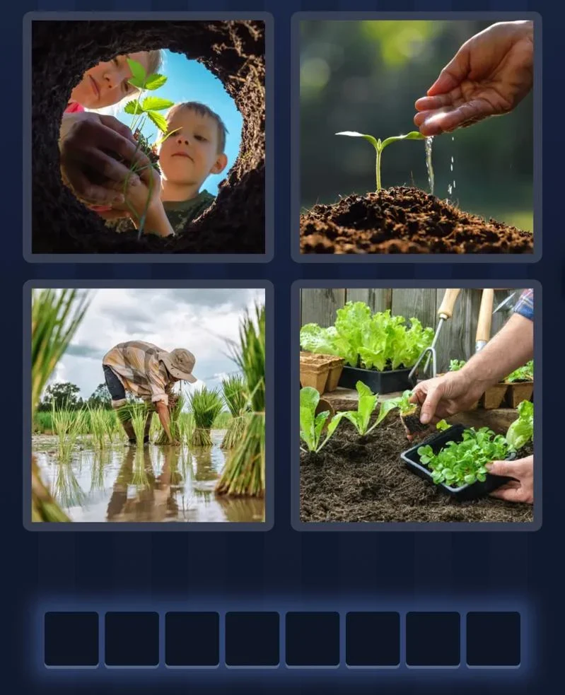 4 Pics 1 Word daily puzzle pictures
