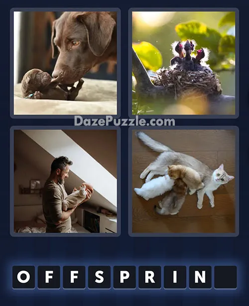 4 Pics 1 Word bonus puzzle pictures