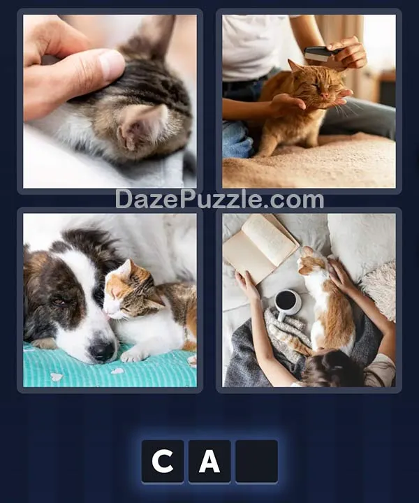 4 Pics 1 Word daily puzzle pictures