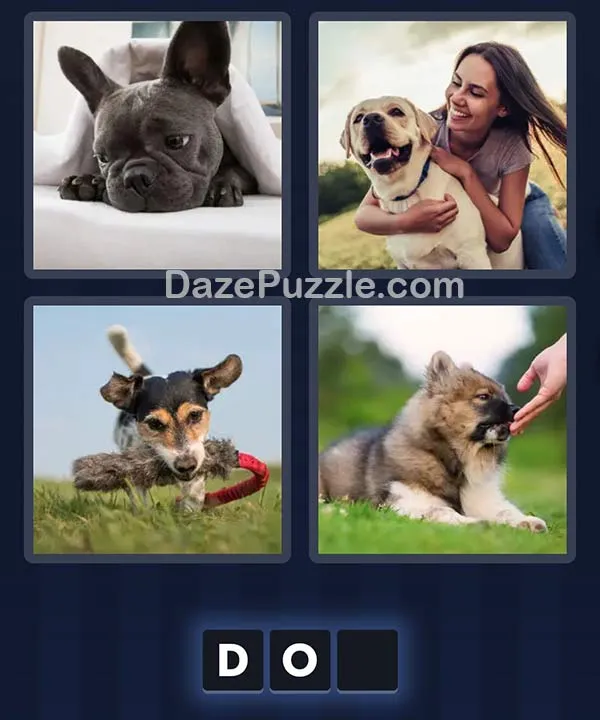 4 Pics 1 Word daily puzzle pictures