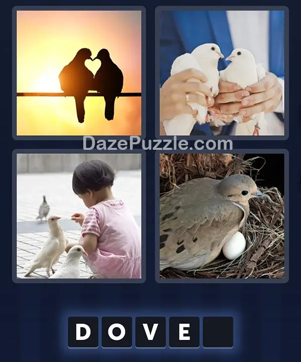 4 Pics 1 Word daily puzzle pictures