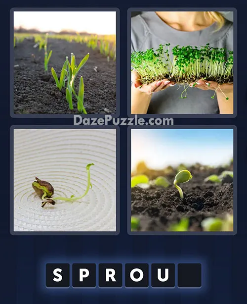 4 Pics 1 Word April 11 2026 Daily Bonus Puzzle