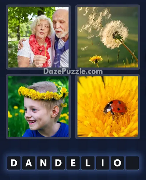4 Pics 1 Word April 11 2026 Daily Puzzle