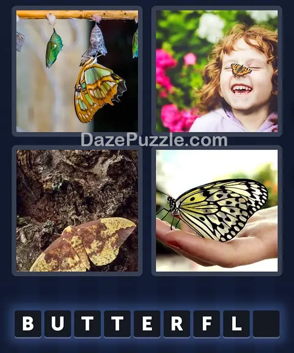 4 Pics 1 Word April 13 2026 Daily Puzzle