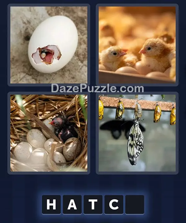 4 Pics 1 Word April 14 2026 Daily Bonus Puzzle