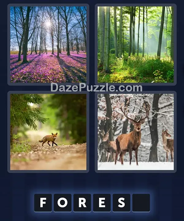 4 Pics 1 Word April 14 2026 Daily Puzzle
