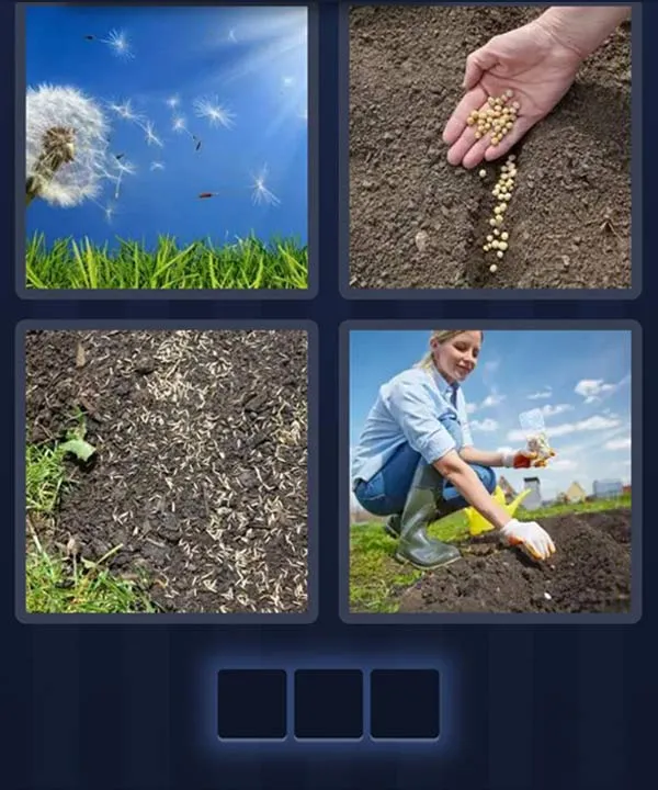 4 Pics 1 Word April 17 2026 Daily Bonus Puzzle