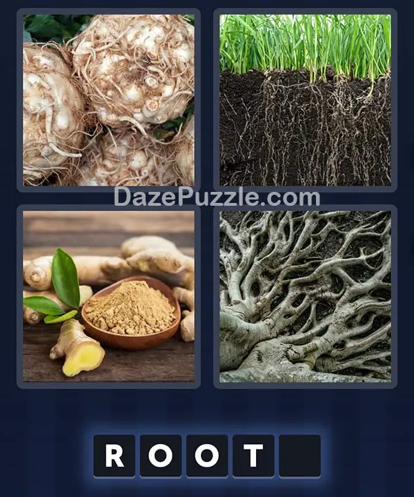 4 Pics 1 Word April 19 2026 Daily Puzzle