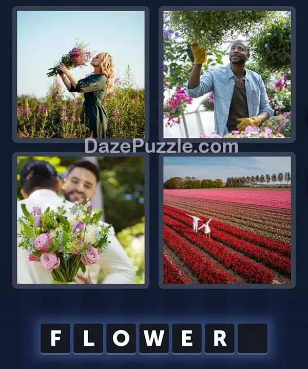 4 Pics 1 Word April 2 2026 Daily Bonus Puzzle