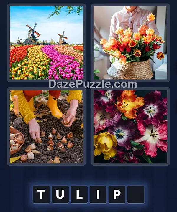 4 Pics 1 Word April 21 2026 Daily Puzzle