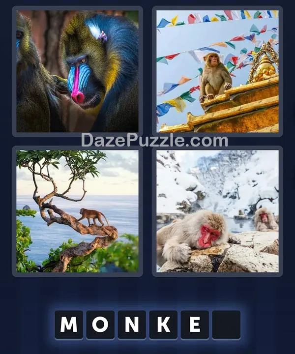 4 Pics 1 Word April 23 2026 Daily Puzzle