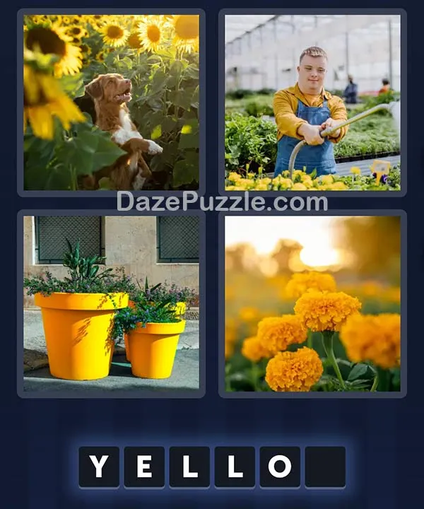 4 Pics 1 Word April 6 2026 Daily Bonus Puzzle