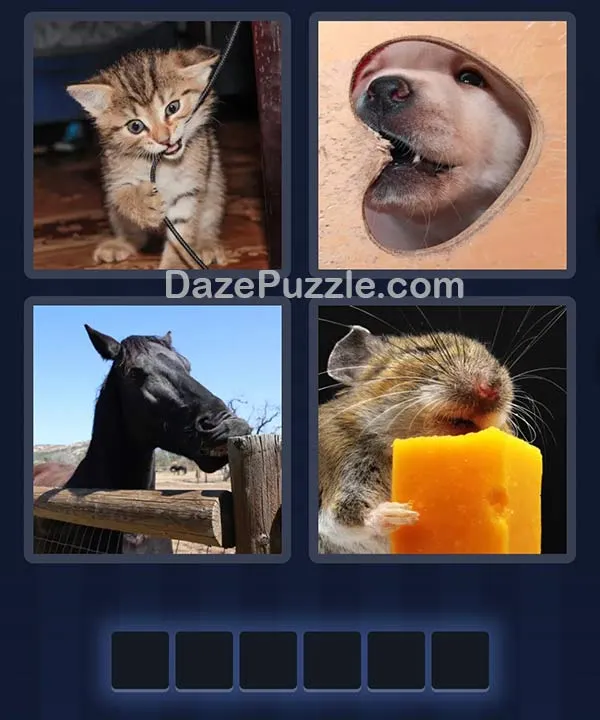 4 Pics 1 Word bonus puzzle pictures
