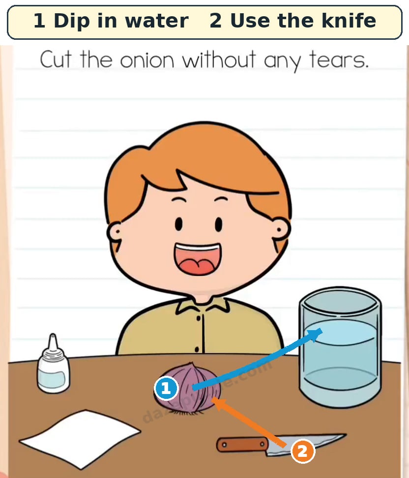 Brain Test Level 565 hint showing the onion moved into water before using the knife