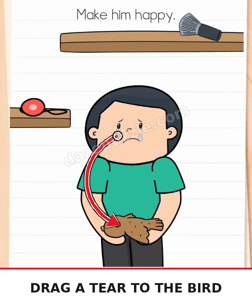 Brain Test Level 577 arrow from one of the boy's visible tears to the bird in his hands