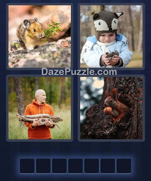 4 Pics 1 Word bonus puzzle pictures