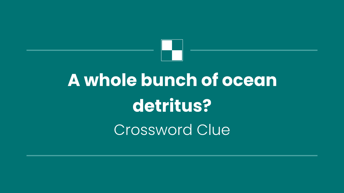 A whole bunch of ocean detritus?