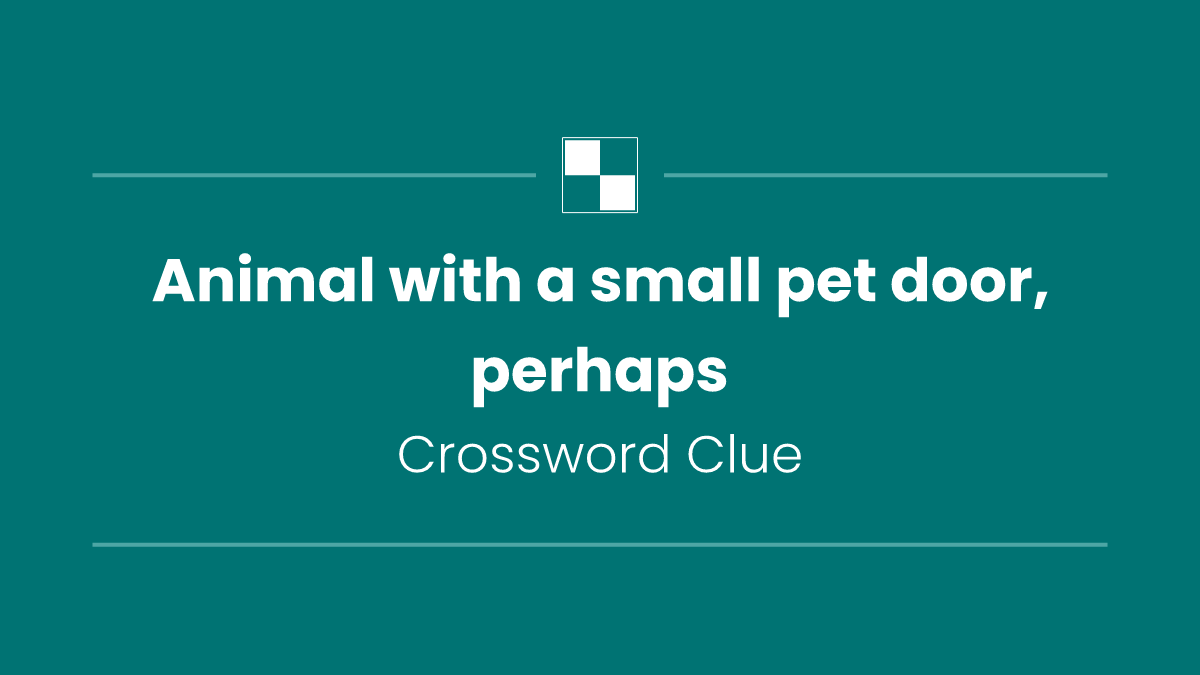 Animal with a small pet door, perhaps